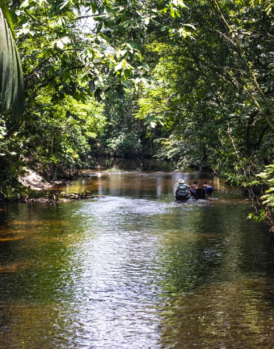 Imagen de referencia ruta BGA-RVE