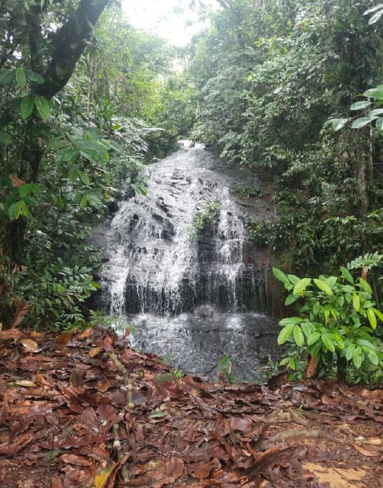 Imagen de referencia ruta BOG-VGZ