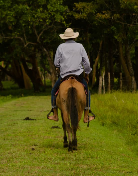 Paisaje de referencia de Cúcuta