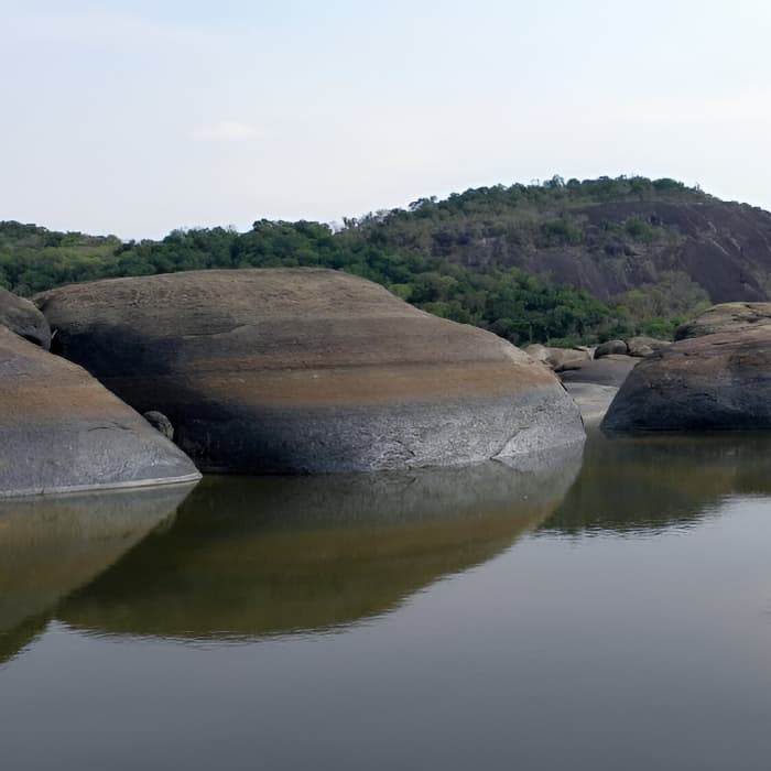Paisaje de Puerto Carreño
