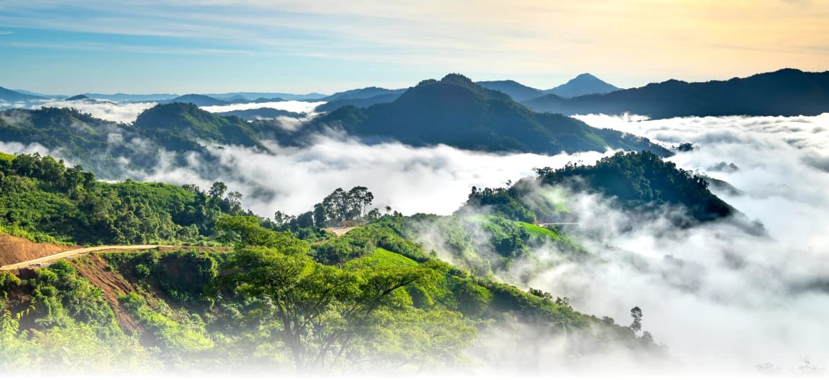 Banner vuelos nacionales