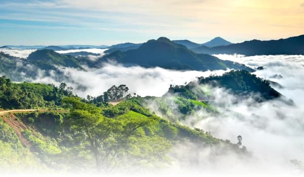 Banner vuelos nacionales