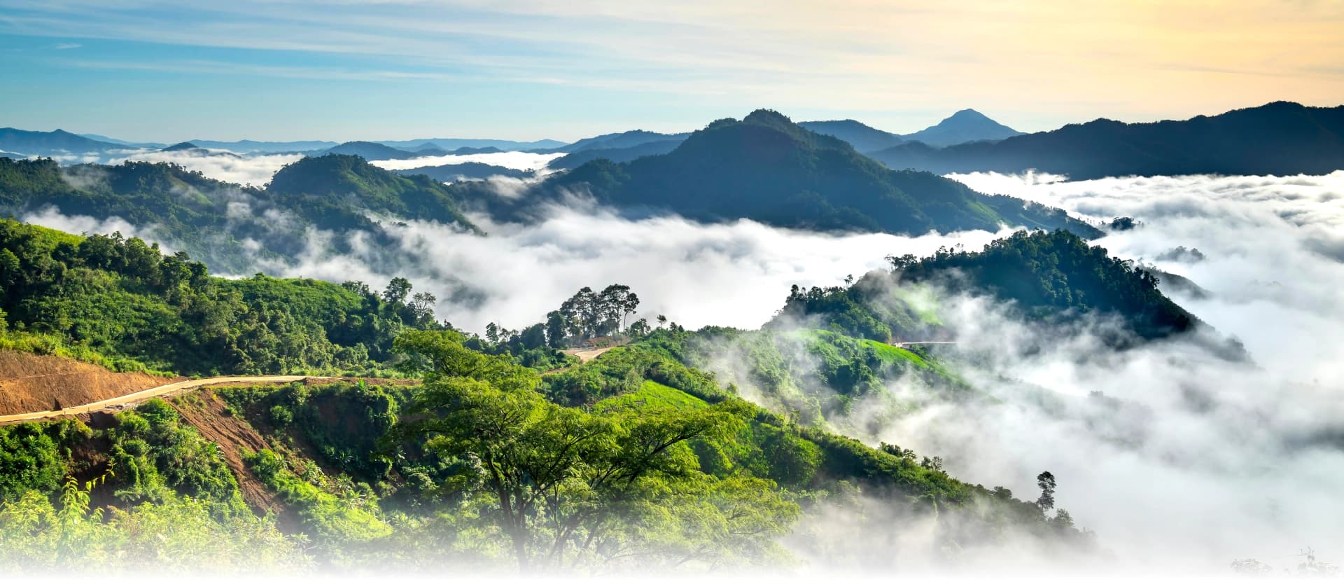 Banner vuelos nacionales