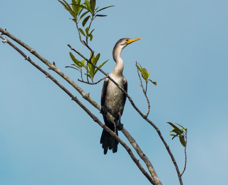 Paisaje Bahía Solano 3