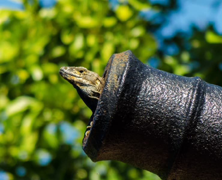 Paisaje Providencia 3