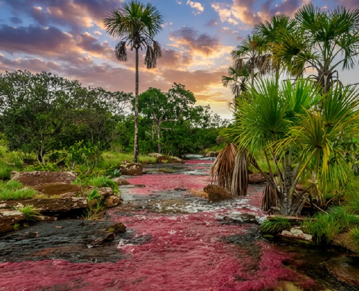 Paisaje San José del Guaviare 1