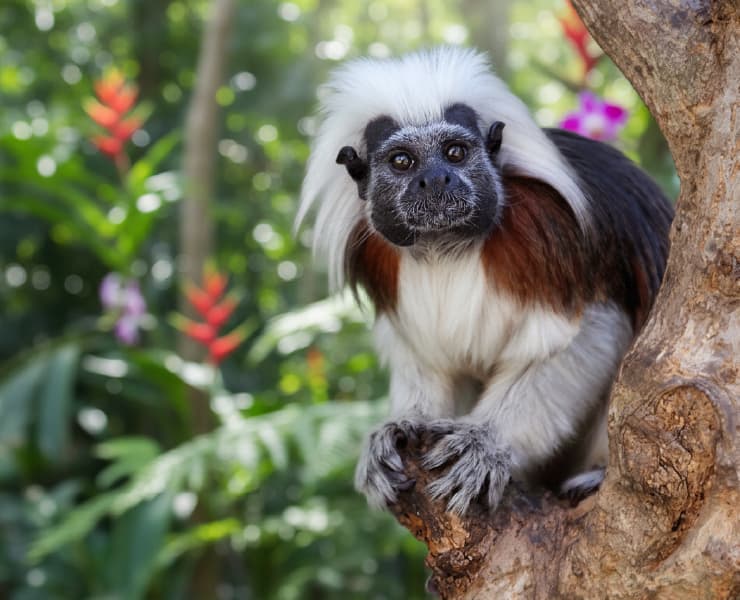 Paisaje San José del Guaviare 3