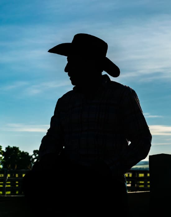 Paisaje de referencia de Bogotá