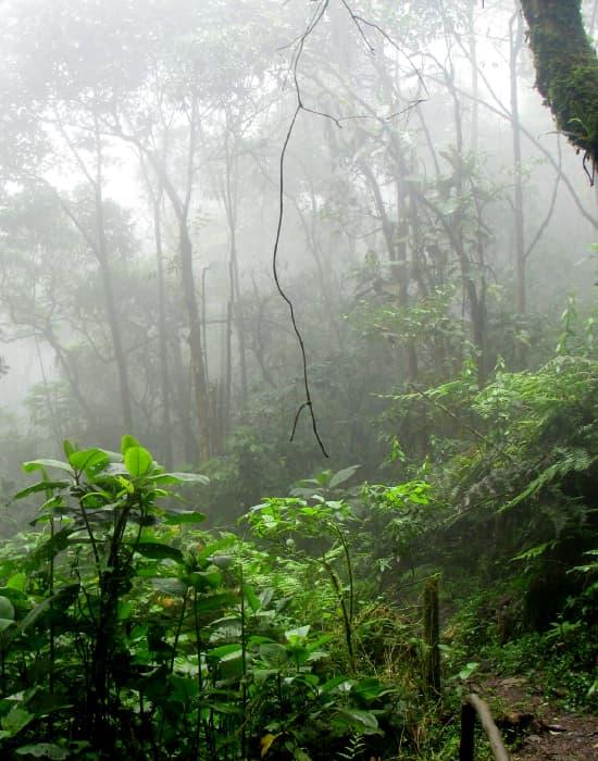 Imagen de referencia ruta LET-LCR