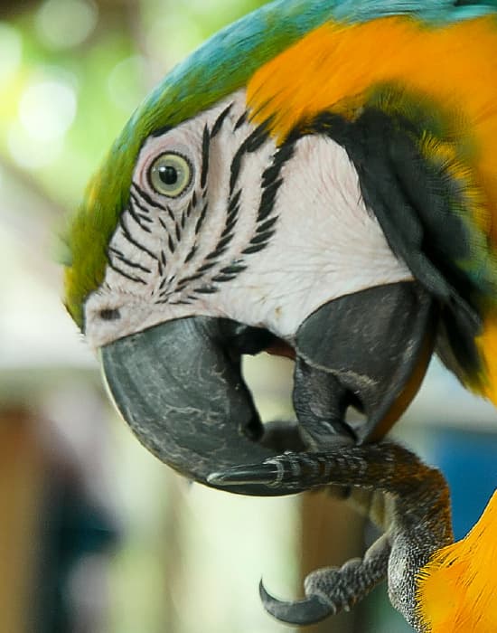 Imagen de referencia ruta LPD-LET