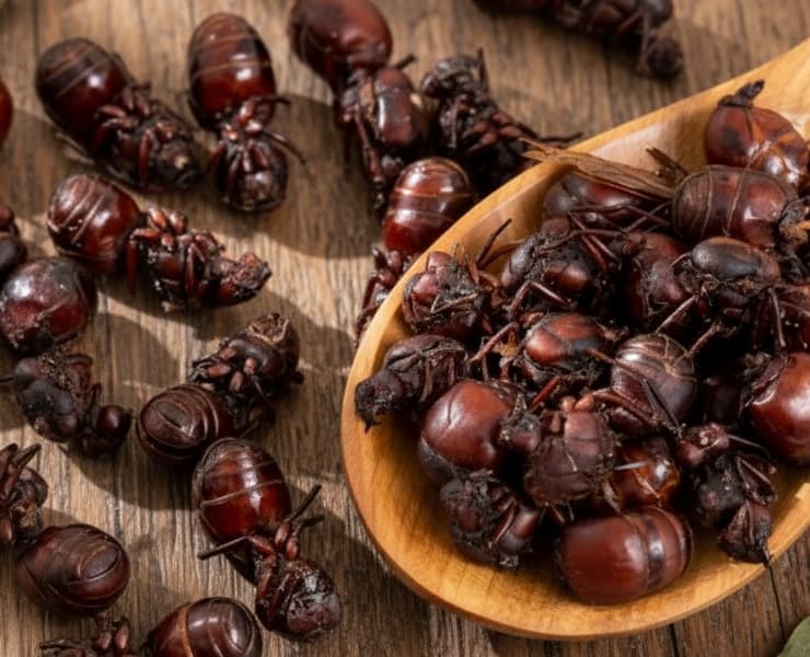 Plato tipico de Bucaramanga