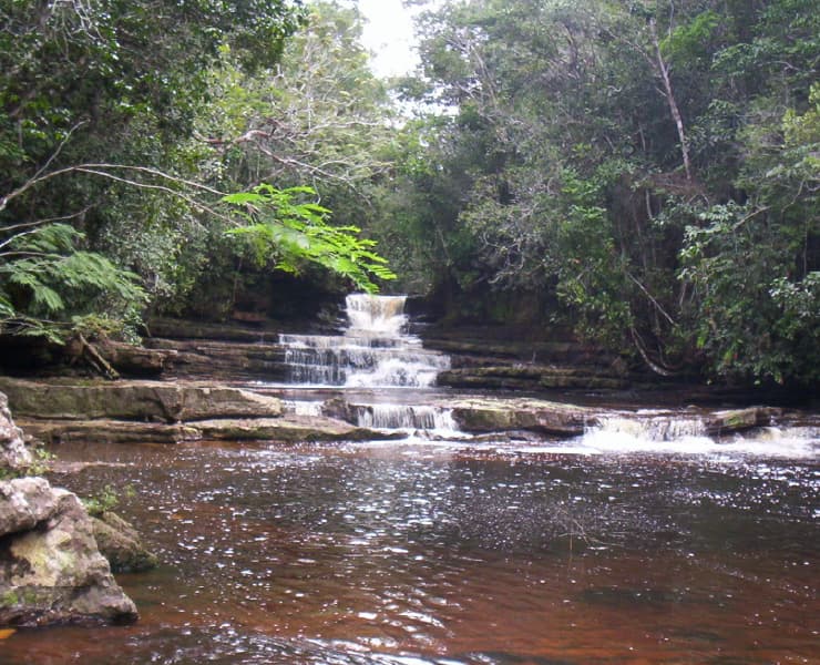 Planes en La Chorrera