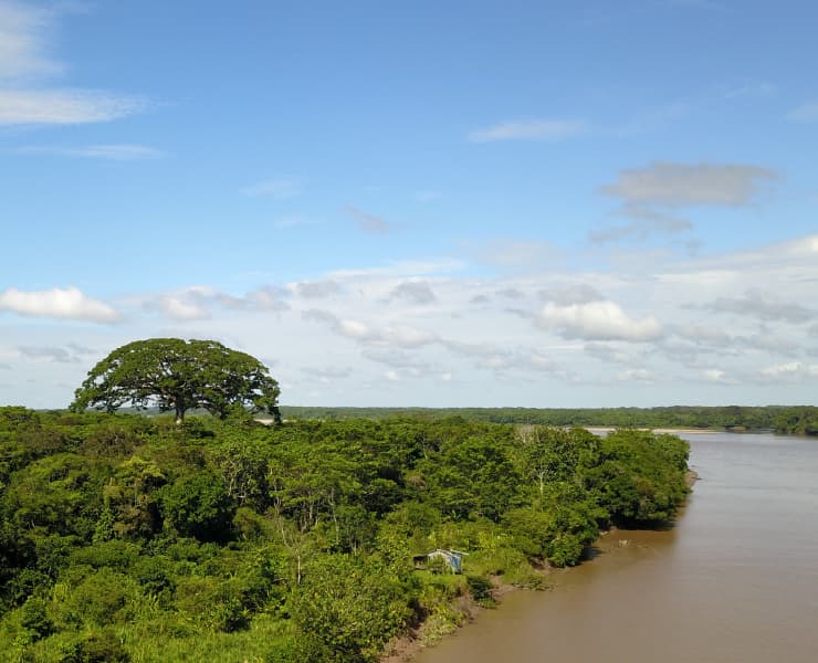 Planes en Puerto Leguízamo